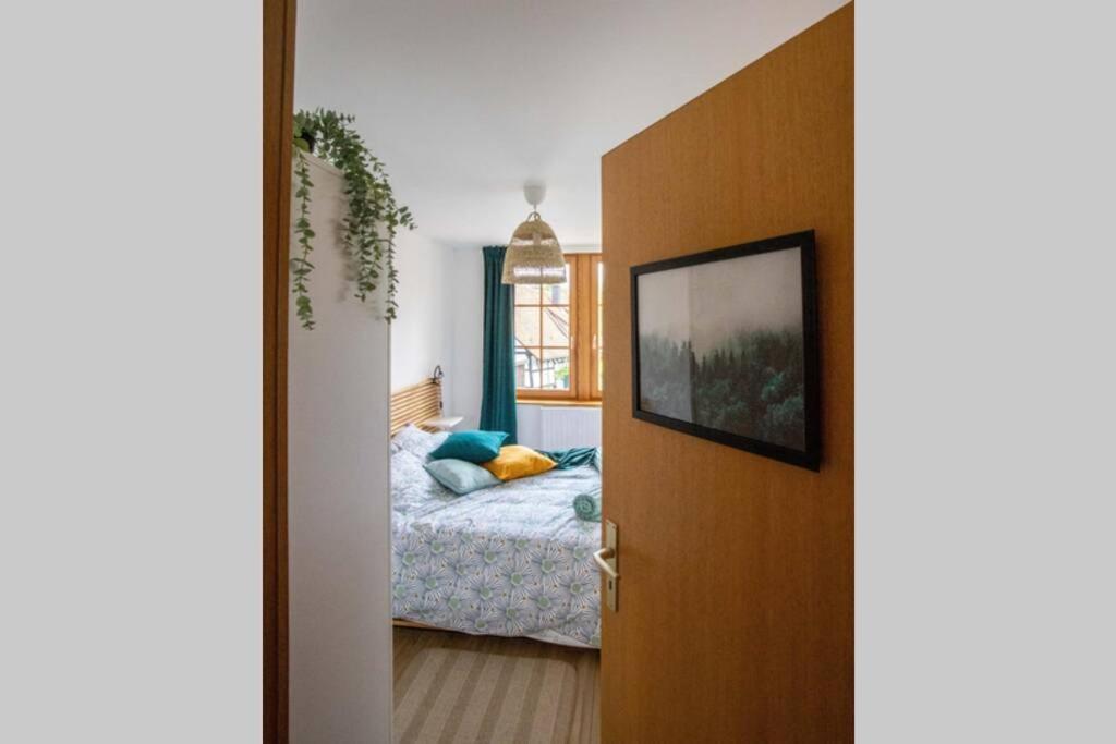 Charming Apartment Basel Border - 3 Bedrooms Hegenheim Exterior photo